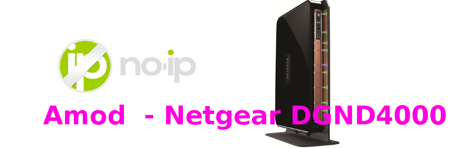 DGND4000 - Amod script noip.com in crontab