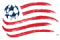 NEW ENGLAND REVOLUTION